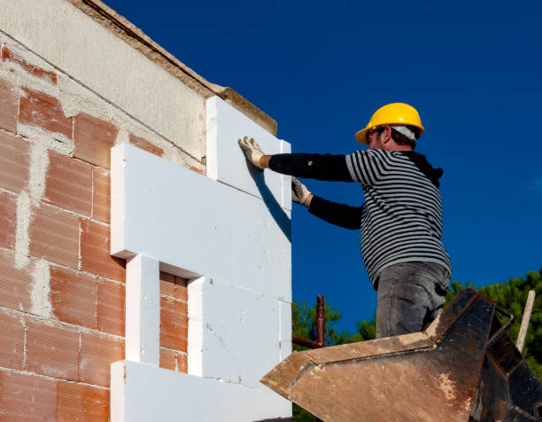 Best Insulation Inspection Services  in Roxborough Park, CO