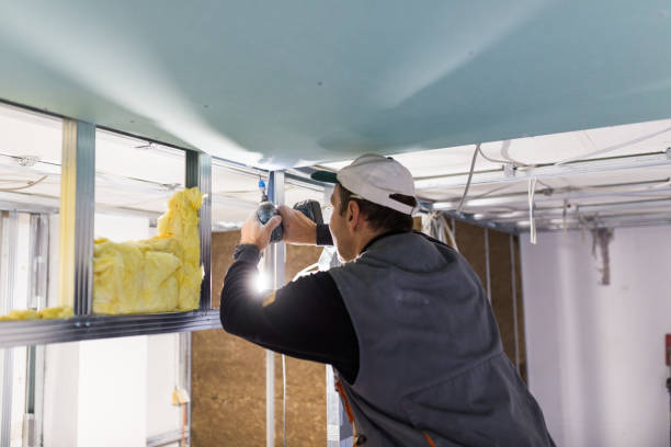 Professional Insulation Contractor in Roxborough Park, CO