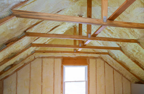 Best Energy-efficient Insulation  in Roxborough Park, CO