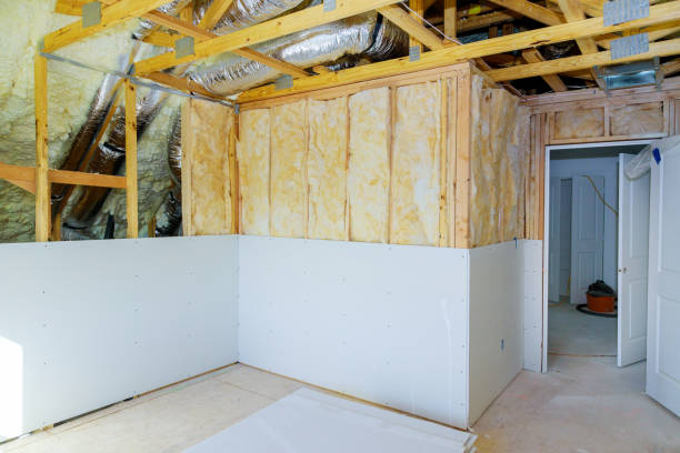 Best Insulation Repair Services  in Roxborough Park, CO