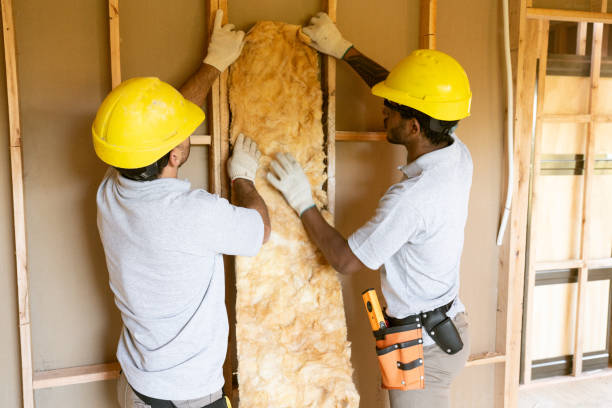 Best Wall Insulation Contractor  in Roxborough Park, CO