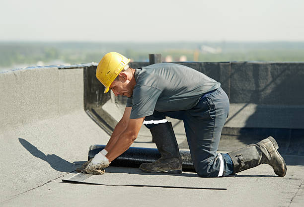 Best Attic Insulation Installation  in Roxborough Park, CO